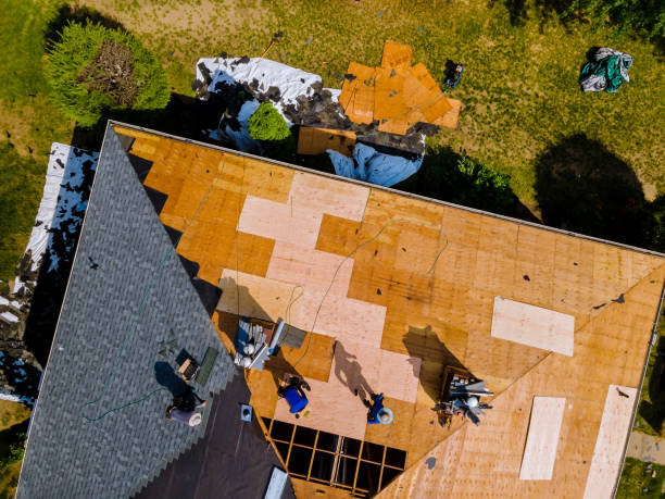 Tile Roofing Contractor in Fish Hawk, FL