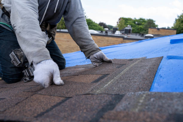 Best Roof Maintenance Services  in Fish Hawk, FL