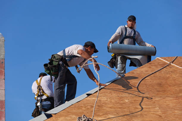 Best Commercial Roofing Services  in Fish Hawk, FL