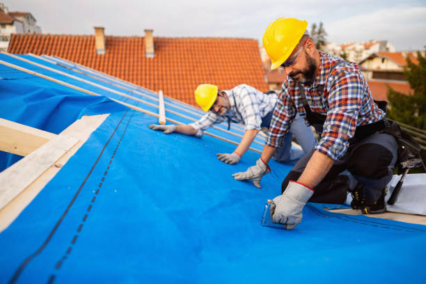 Roof Repair Estimates in Fish Hawk, FL