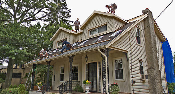 Best Residential Roofing Contractor  in Fish Hawk, FL