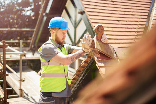 Quick and Trustworthy Emergency Roof Repair Services in Fish Hawk, FL