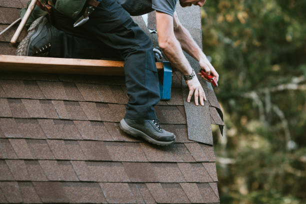 Best Local Roofing Companies  in Fish Hawk, FL